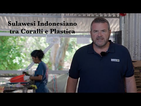Sulawesi Indonesiano, tra Coralli e Plastica