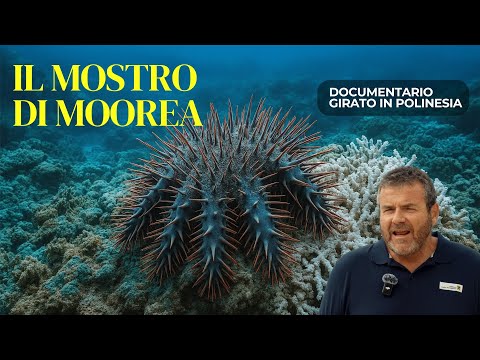 L&#039;Eco del Silenzio - Il Mostro di Moorea